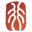恒行5