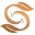 盛世国际